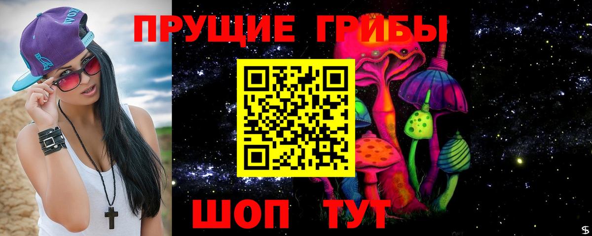 Псилоцибиновые грибы Psilocybine cubensis Балашиха
