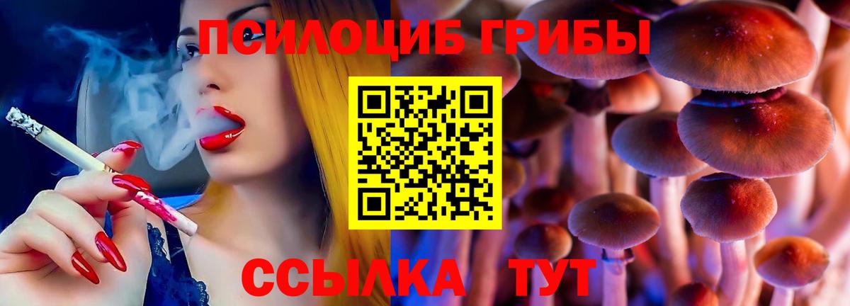 Балашиха  Псилоцибиновые грибы MAGIC MUSHROOMS  Вход с VPN 